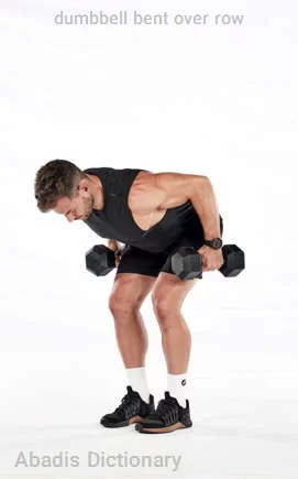 dumbbell bent over row